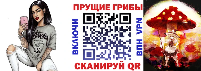 Галлюциногенные грибы GOLDEN TEACHER Пошехонье